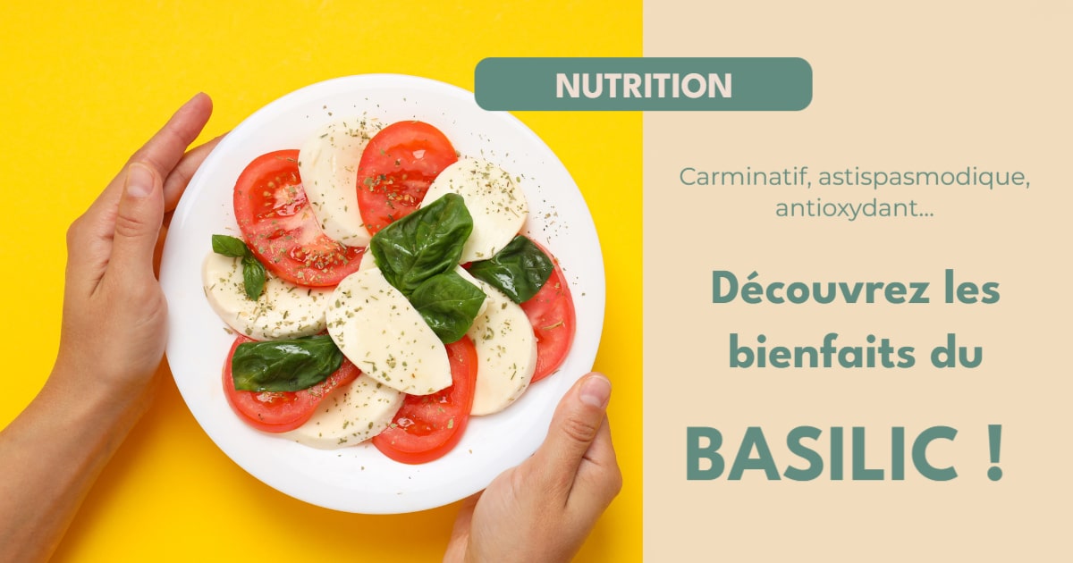 Le basilic nest pas quun simple aromate 1 678611228413769 - Accueil - Beg Meil Fouesnant