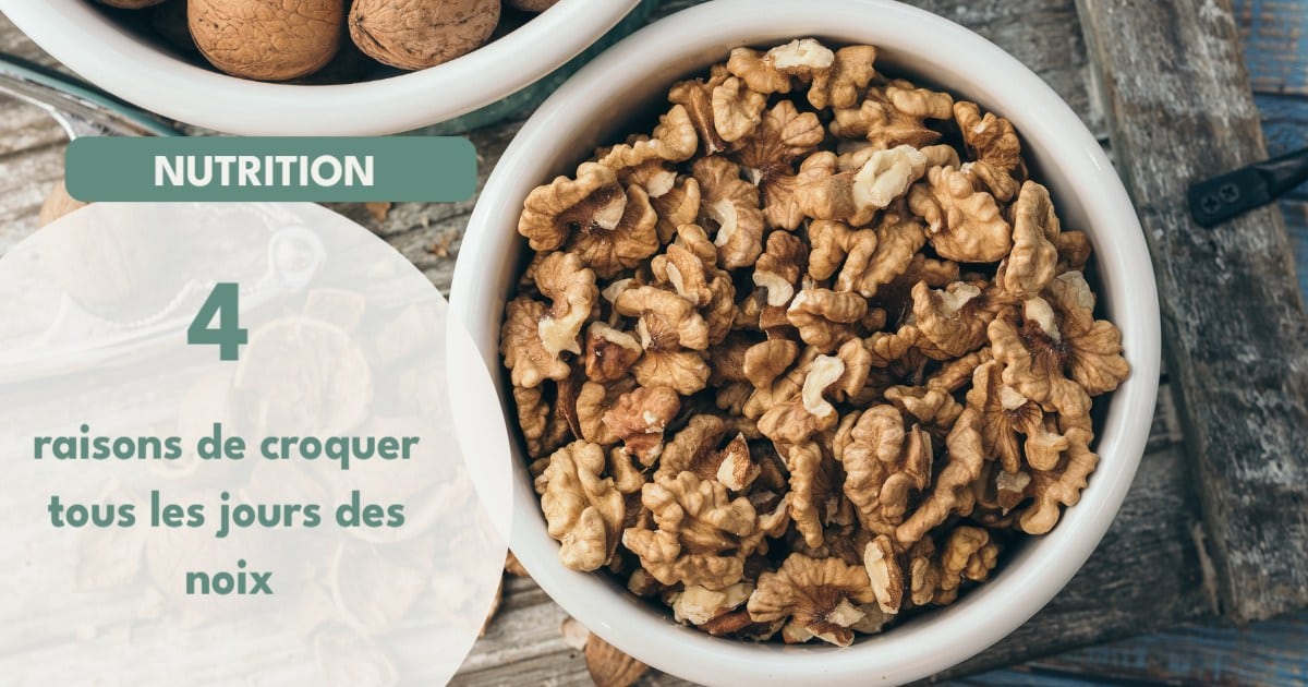 Savez vous que les noix contiennent de bonnes graisses 1 683731791235046 - Accueil - Beg Meil Fouesnant