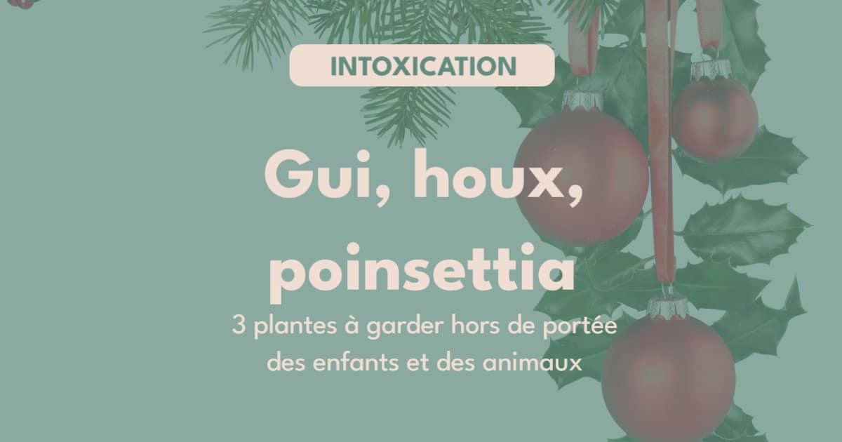 Le saviez vous 1 823785670562990 - Accueil - Beg Meil Fouesnant Le saviez vous 1 823785670562990 - Accueil - Beg Meil Fouesnant