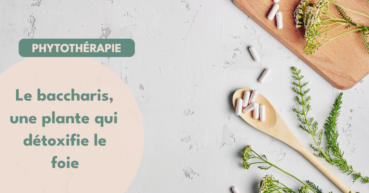 Depuratif diuretique et hepatoprotecteur 1 900953946179495 - Accueil - Beg Meil Fouesnant Depuratif diuretique et hepatoprotecteur 1 900953946179495 - Accueil - Beg Meil Fouesnant