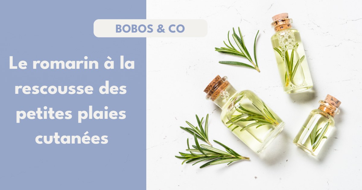 Le romarin ne parfume pas seulement vos plats 1 889858803955676 - Accueil - Beg Meil Fouesnant Le romarin ne parfume pas seulement vos plats 1 889858803955676 - Accueil - Beg Meil Fouesnant