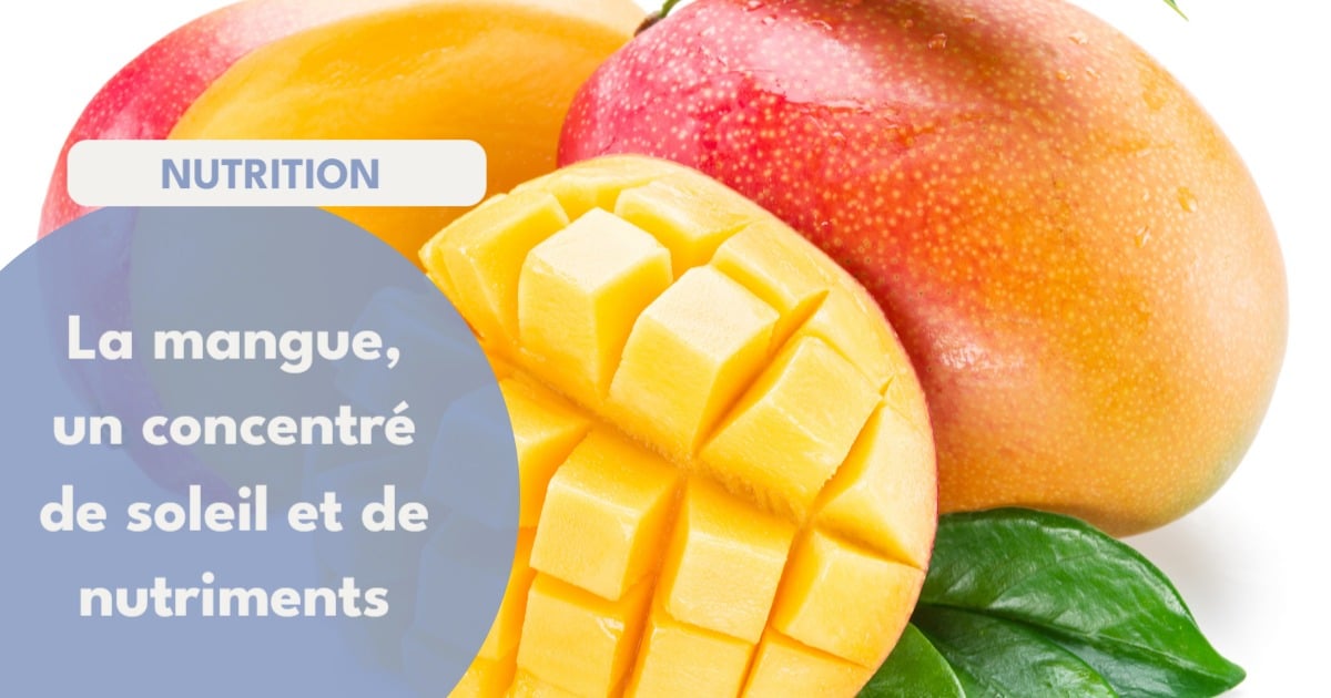Gourmande parfumee ultra coloree et juteuse la mangue ne fait 1 952091941065695 - Accueil - Beg Meil Fouesnant Gourmande parfumee ultra coloree et juteuse la mangue ne fait 1 952091941065695 - Accueil - Beg Meil Fouesnant