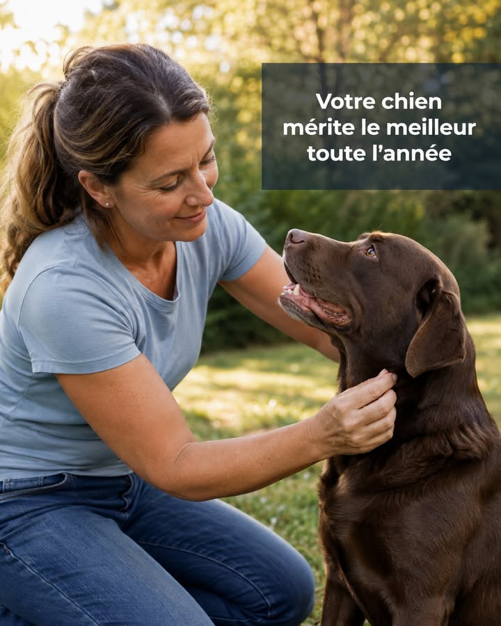 En ce 26 aout Journee internationale du chien celebrons 1 1030972136511008 - Accueil - Beg Meil Fouesnant En ce 26 aout Journee internationale du chien celebrons 1 1030972136511008 - Accueil - Beg Meil Fouesnant