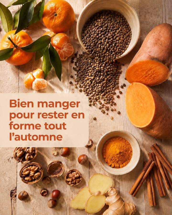 Lautomne sinstalle les temperatures chutent et notre corps a 1 1051236911151197 - Accueil - Beg Meil Fouesnant Lautomne sinstalle les temperatures chutent et notre corps a 1 1051236911151197 - Accueil - Beg Meil Fouesnant
